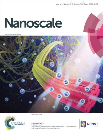 Shape-defined nanodimers by tailored heterometallic epitaxy