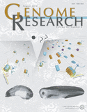 Novel features of telomere biology revealed by the absence of telomeric DNA methylation