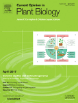 Evolution of photoperiod sensing in plants and algae