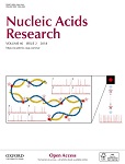 Epigenetic features of human telomeres