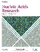 HuR biological function involves dimerization and RNA binding by all three RNA recognition motifs