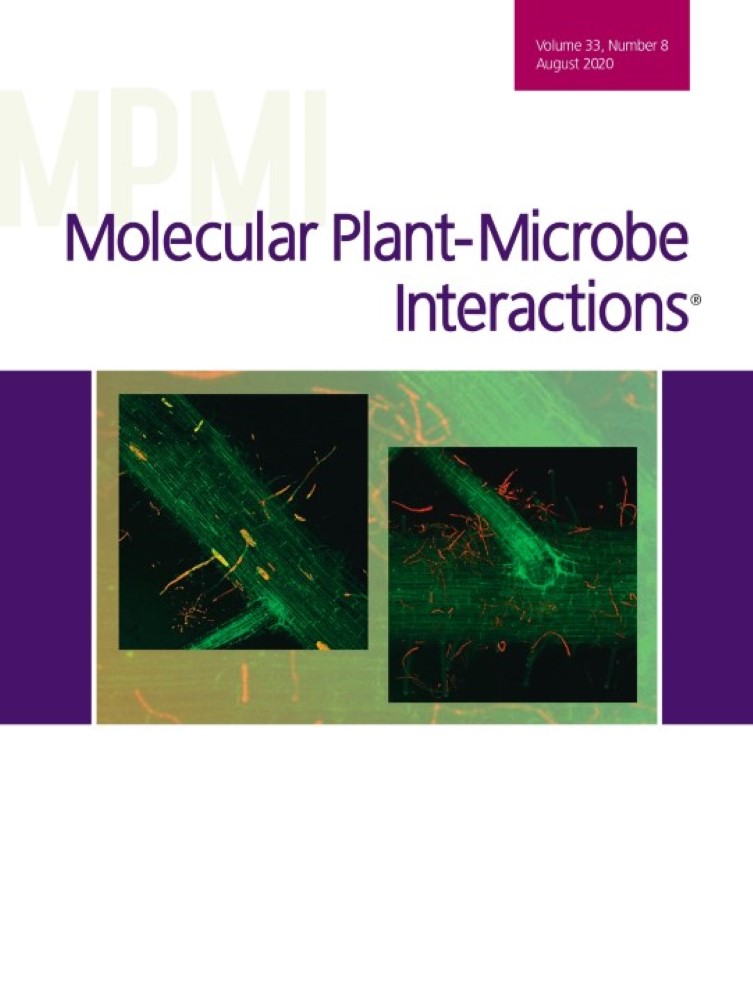Endophytic Colonization of Rice (Oryza sativa L.) by the Symbiotic Strain Nostoc punctiforme PCC 73102