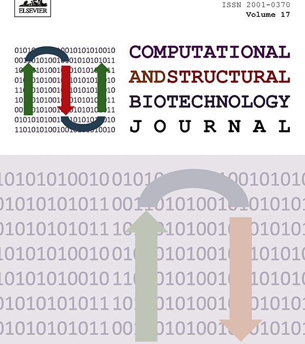 Exploring protein phosphorylation by combining computational approaches and biochemical methods