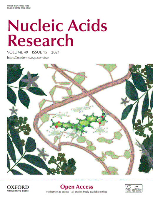 Role of a cryptic tRNA gene operon in survival under translational stress