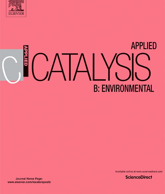 A direct in situ observation of water-enhanced proton conductivity of Eu-doped ZrO2: Effect on WGS reaction
