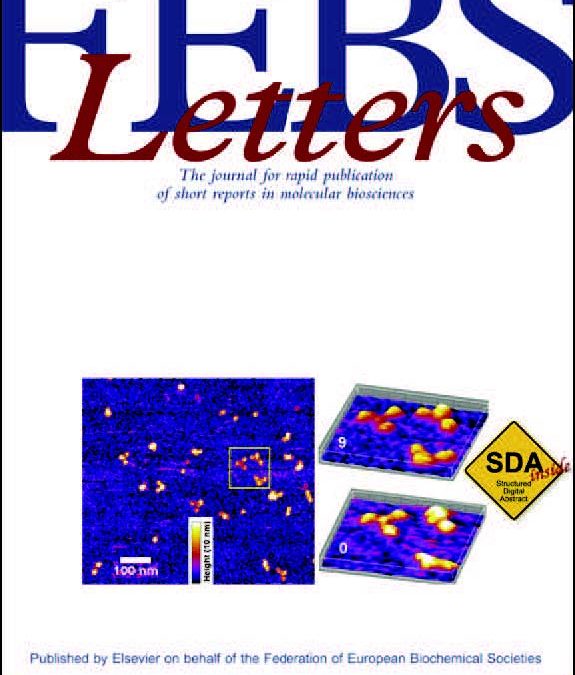 Respiratory Complexes III and IV Can Each Bind Two Molecules of Cytochrome c at Low Ionic Strength