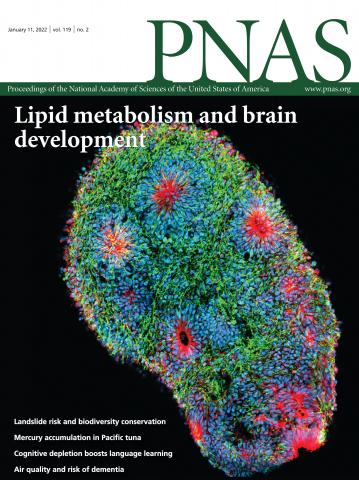 Photosynthetic assimilation of CO2 regulates TOR activity