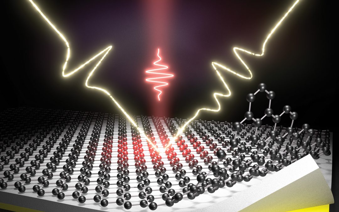 Tamm Plasmons Directionally Enhance Rare-Earth Nanophosphor Emission
