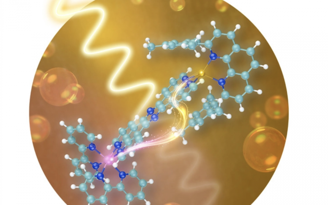 Supported σ-Complexes of Li‒C Bonds from Coordination of Monomeric Molecules of LiCH3, LiCH2CH3 and LiC6H5 to MoMo Bonds