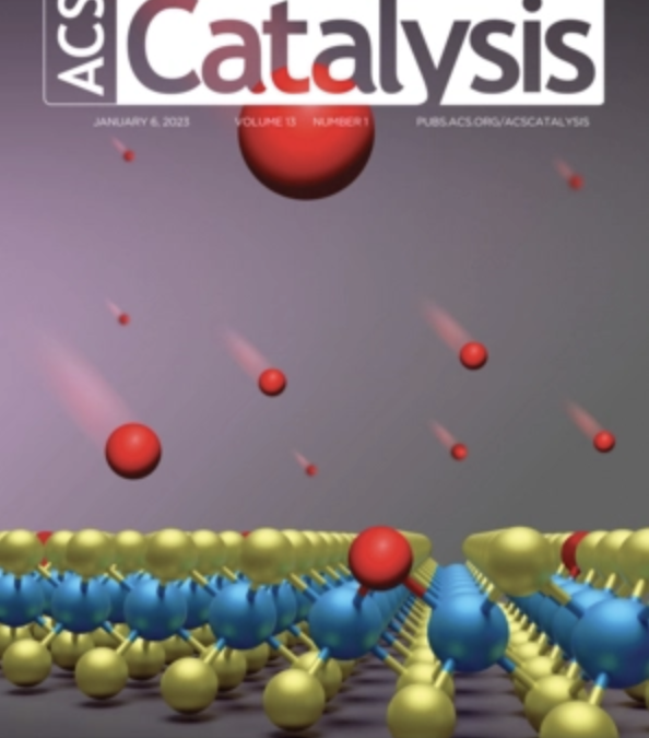 Biocatalytic Atroposelective Synthesis of Axially Chiral N-Arylindoles via Dynamic Kinetic Resolution