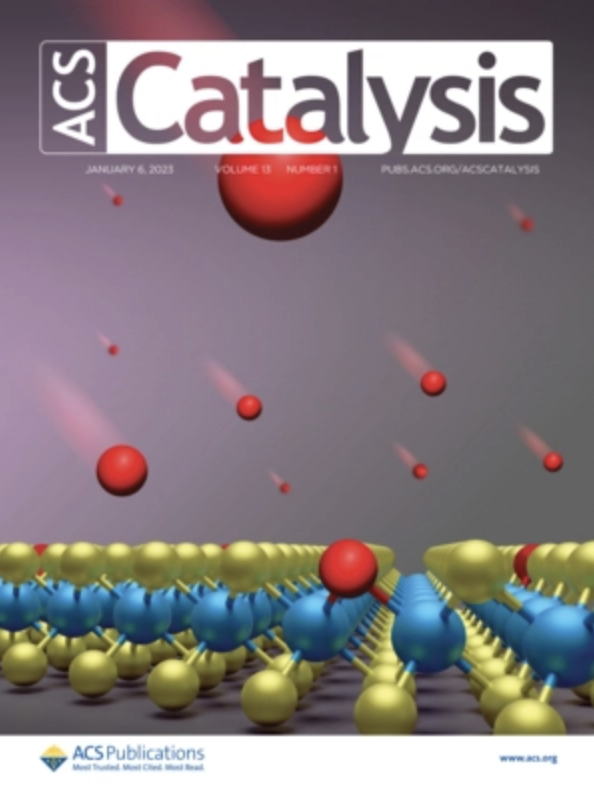 Biocatalytic Atroposelective Synthesis of Axially Chiral N-Arylindoles via Dynamic Kinetic Resolution