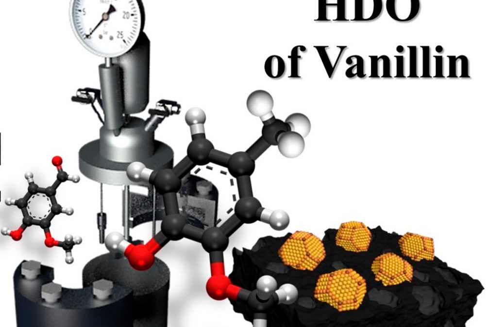 Hydrodeoxygenation of vanillin over noble metal catalyst supported on biochars: Part II: Catalytic behaviour