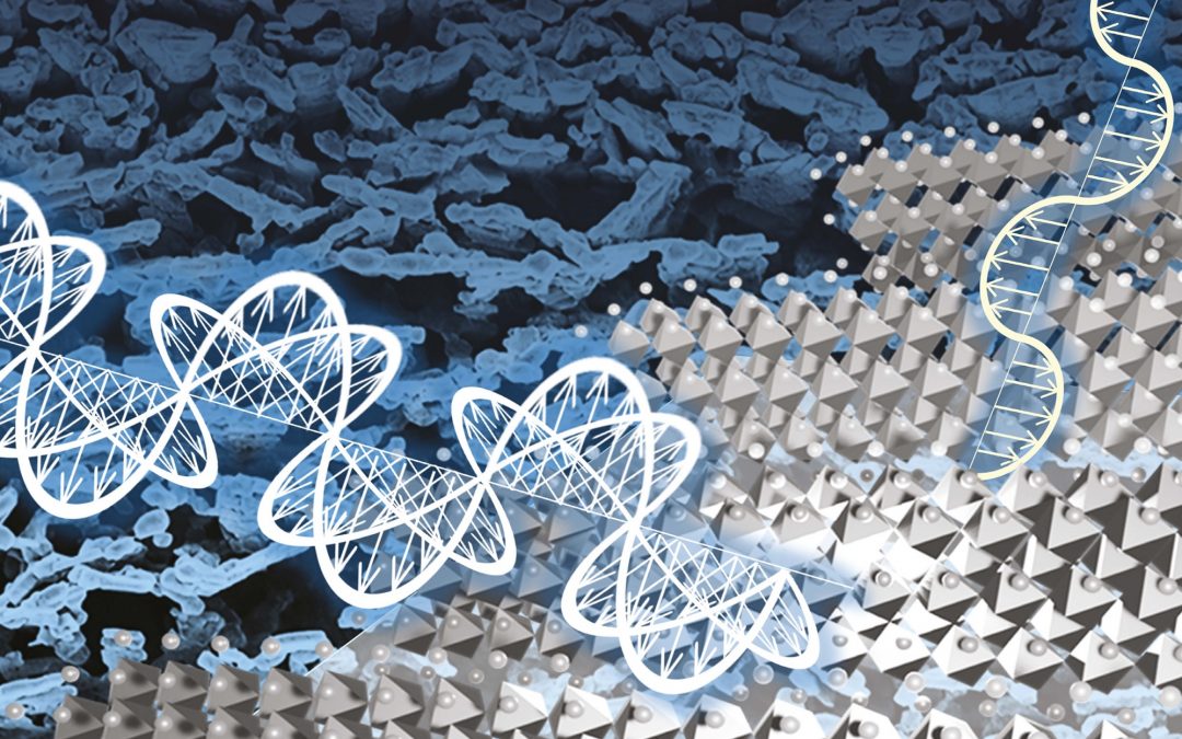 Highly Anisotropic Organometal Halide Perovskite Nanowalls Grown by Glancing-Angle Deposition