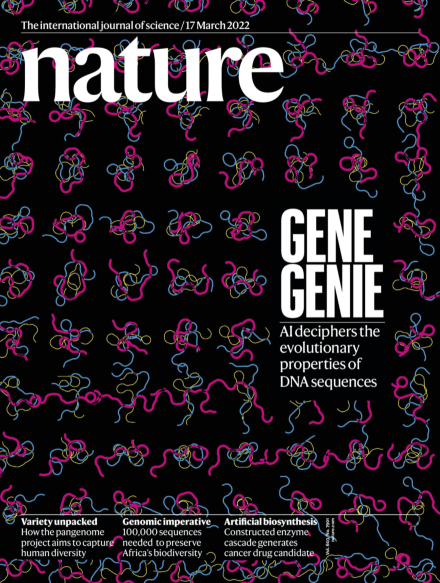 Discovery of a Ni2+-dependent guanidine hydrolase in bacteria