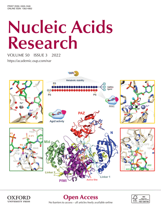 A complex network of interactions governs DNA methylation at telomeric regions