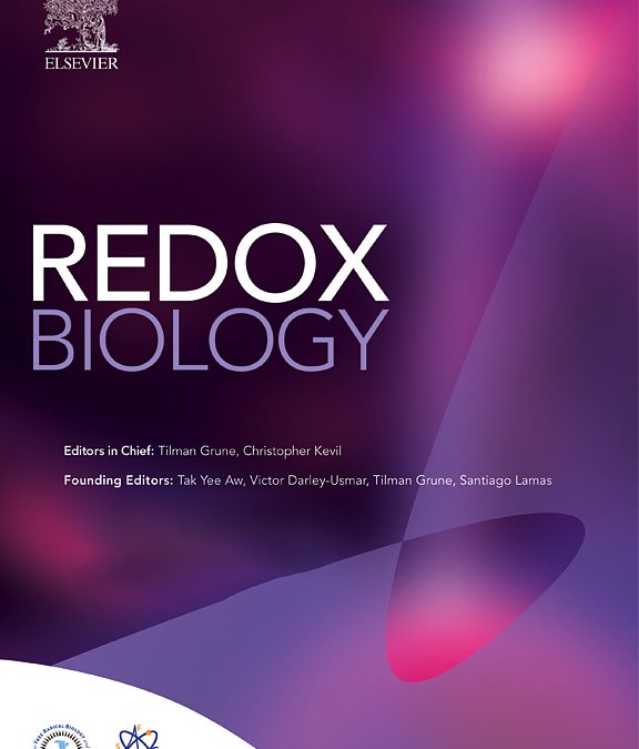 Plastid 2-Cys peroxiredoxins are essential for embryogenesis in Arabidopsis