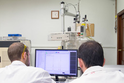 bip-surface-plasmon