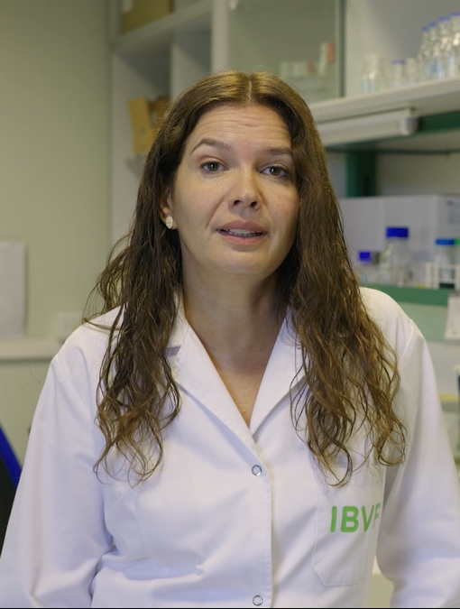 Biofertilización de arroz con cianobacterias: una solución sostenible desde las marismas del Guadalquivir
