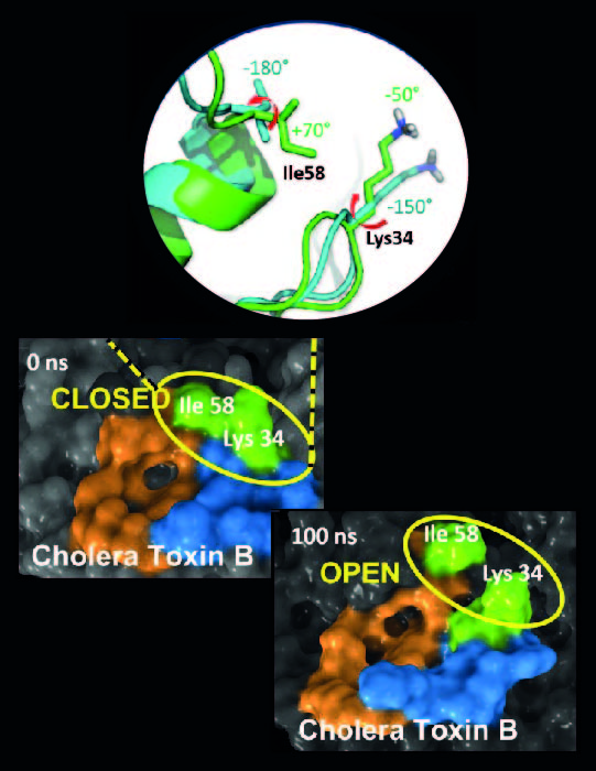Portada revista Chem. Eur. J.