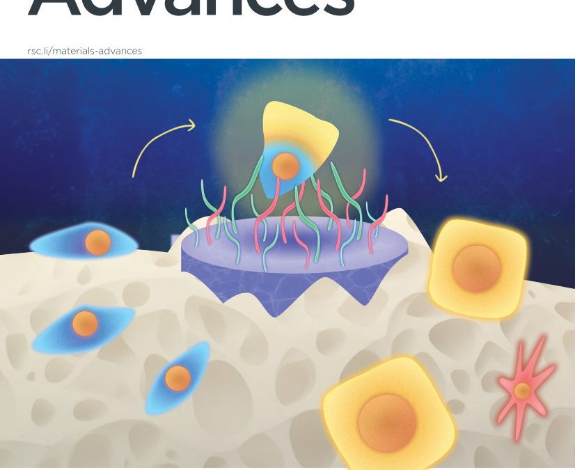 An efficient strategy for simultaneous gold deposition and obtention of hierarchical Au/TS-1 applied to liquid-phase propylene epoxidation