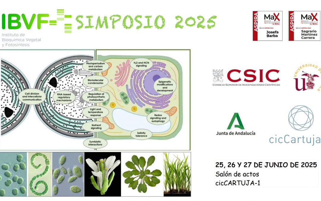 Simposio del Instituto de Bioquímica Vegetal y Fotosíntesis del año 2025