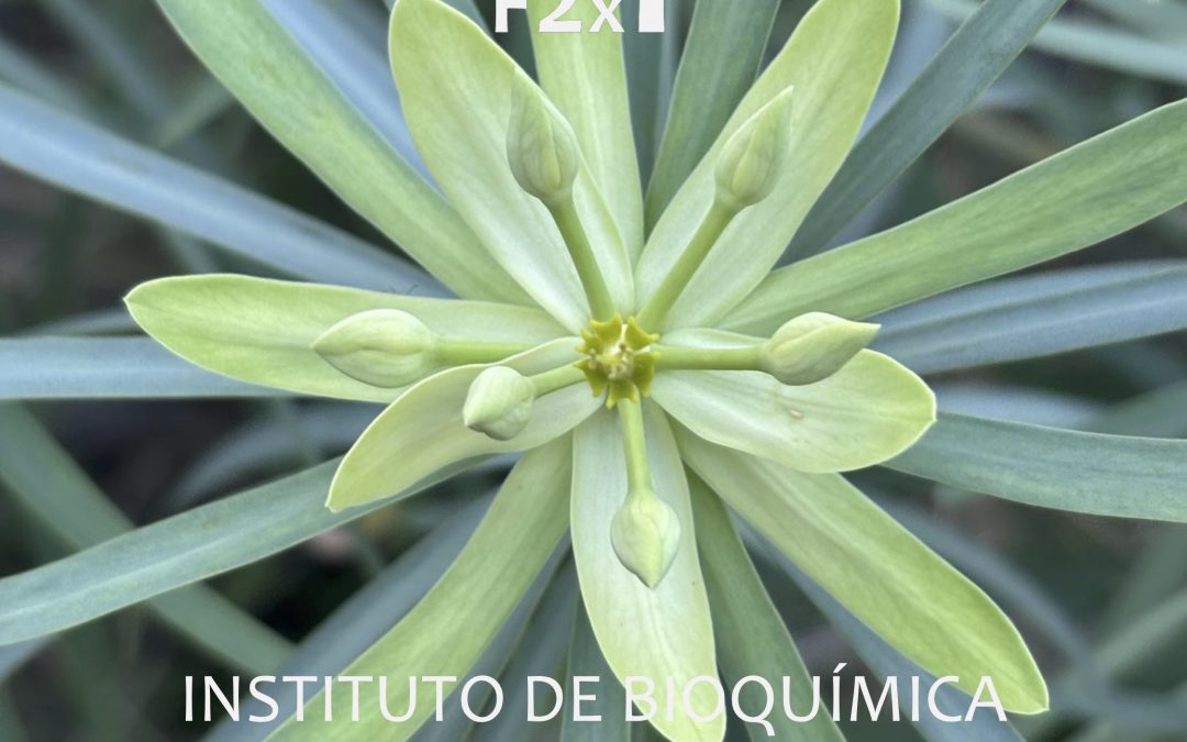 I Concurso de Fotografía ‘Fascinados por las Plantas’