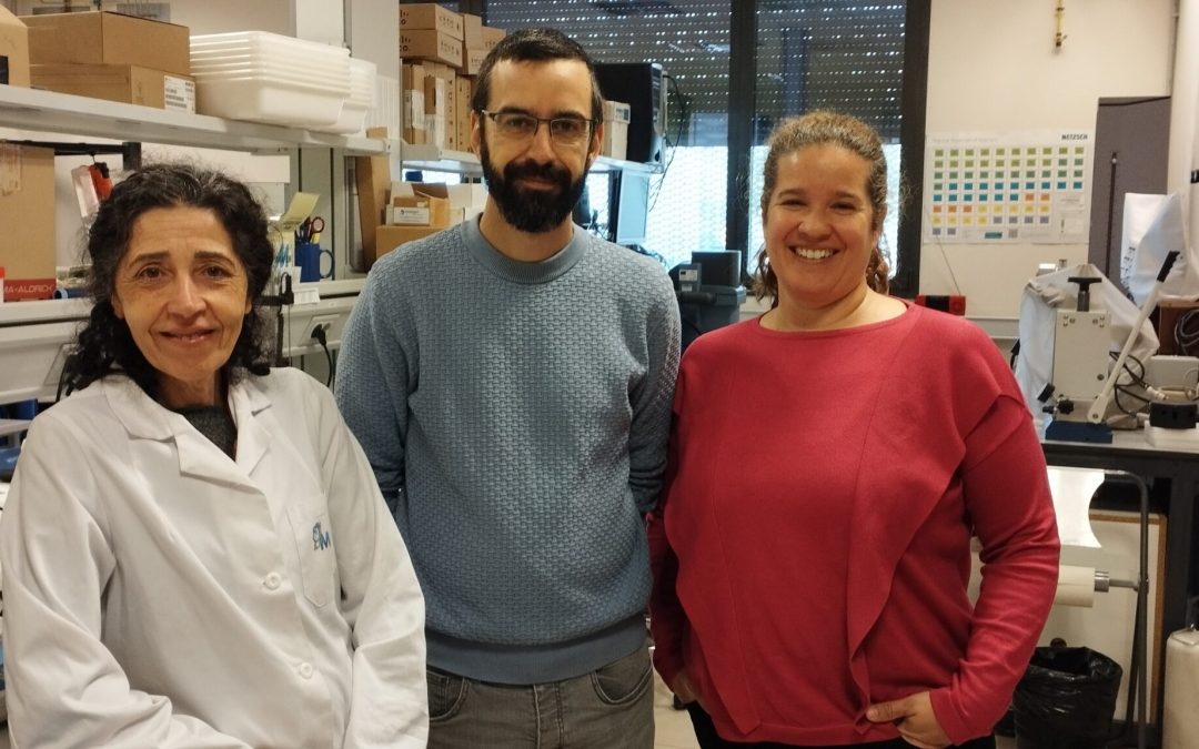 Diseñan arcillas ‘a medida’ que multiplican por diez la eliminación de metales en aguas contaminadas
