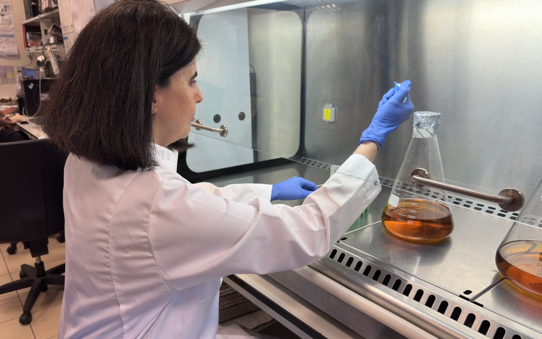 La catedrática Irene Díaz-Moreno ha sido elegida miembro de la Organización Europea de Biología Molecular (EMBO) en reconocimiento a sus contribuciones a las biociencias moleculares