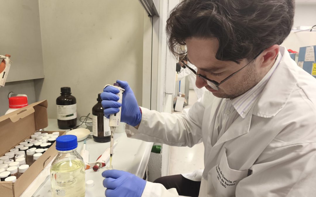 Diseñan nuevo catalizador para reciclar el CO2 e impulsar la economía circular en la industria química y textil