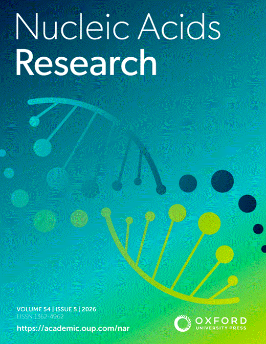 Multisite phosphorylation of the AML-linked C-terminal of nucleophosmin (NPM1) orchestrates protein stability, DNA binding and charge block-driven phase separation